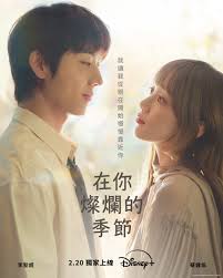 在你的灿烂季节